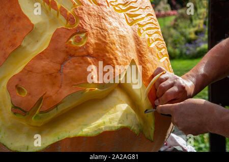 Mans Hände close-up Schnitzen pumpkinat den Herbstferien Stockfoto