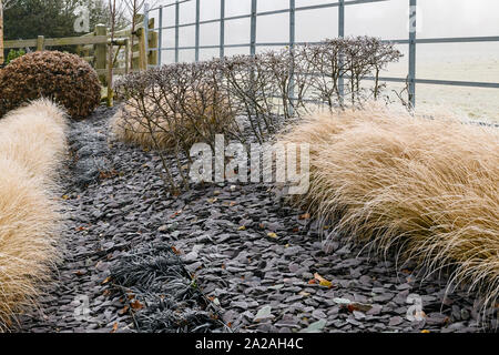 Staudenbeet mit stilvollen, modernen Design, Schiefer Chips & Zeilen von Gräsern (frosty nebligen Wintertag) - privater Garten, Yorkshire, England, UK. Stockfoto