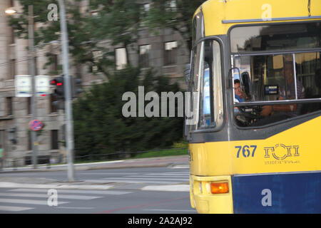 Gelbe Straßenbahn/Bus auf den Straßen von Belgrad, Serbien zu fahren. Stockfoto