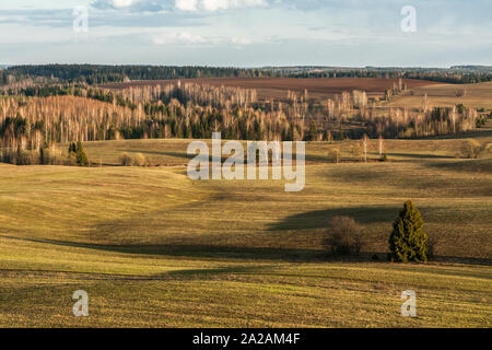 Lange Schatten von der untergehenden Sonne auf hügeligen Feldern in Anfang Frühjahr Stockfoto