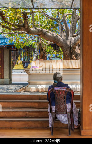 Eine Dame sitzt und meditiert mit Blick auf den Bodhi-baum am Seema Malakaya buddhistischen Tempel auf einer Insel in der Region Beira See im Herzen von Colombo, Sri Lanka. Stockfoto