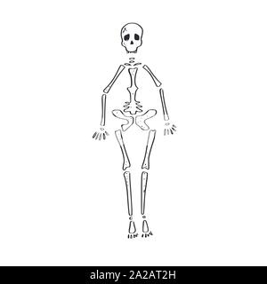 Skelett. Vektor Hand gezeichneten Karikatur doodle Stock Vektor