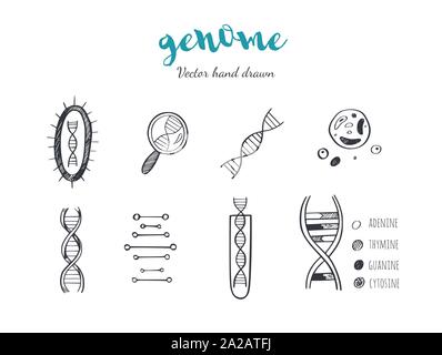 Gentechnik und medizinische Forschung vector Hintergrund. DNA-Helix, Genom Prüfung Elemente. Chemisches Labor Konzept Stock Vektor