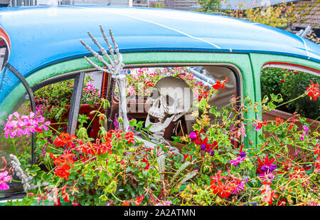 Menschliches Skelett in einem alten Auto mit Blumen Stockfoto