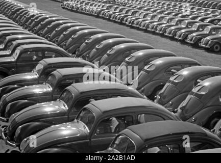 VW Käfer Autos vor dem Werk Wolfsburg. Stockfoto