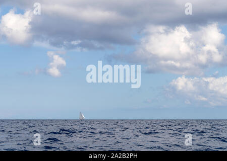 Allein klassische Yacht segeln im offenen Meer Stockfoto