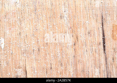 Holz board Wand mit knorrigen Holzbohlen Stockfoto