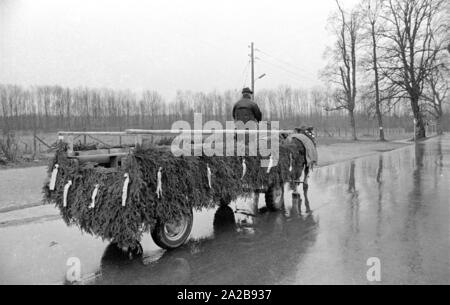 Während das Sonntagsfahrverbot der Pferd 1973 gezogenen Fahrzeugen sind in den ländlichen Regionen verwendet. Stockfoto