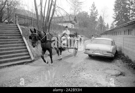 Während das Sonntagsfahrverbot von 1973 in den ländlichen Gebieten von Pferden gezogenen Fahrzeuge wie Kutschen verwendet werden. Stockfoto