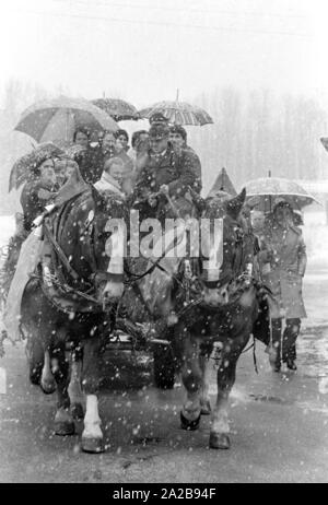 Pferd und Wagen in der Nähe von Grünwald. Stockfoto
