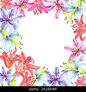 Elegante Lilien, rote und rosa Blüten an einem isolierten weißen Hintergrund Stockfoto