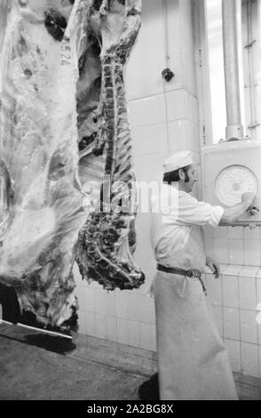 Gehängt Schlachtkörper von Rindern in einem Schlachthof in München (?). Stockfoto
