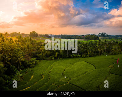 Tropische Reis terrasse Felder bei Sonnenaufgang in Bali. Stockfoto