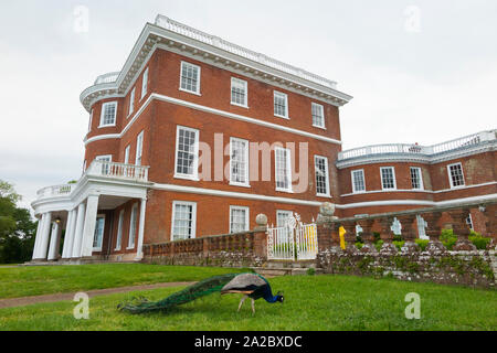 Bicton College Hauptgebäude, mit Pfau. Bicton Haus (Georgian Mansion) im East Budleigh, Budleigh Salterton. Großbritannien (110) Stockfoto