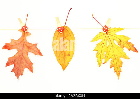 Herbst Blätter hängen an einer Leitung mit Süß dekoriert Wäscheklammern Stockfoto