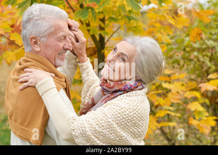 Portrait von Gerne älteres Paar im Herbst Park Stockfoto