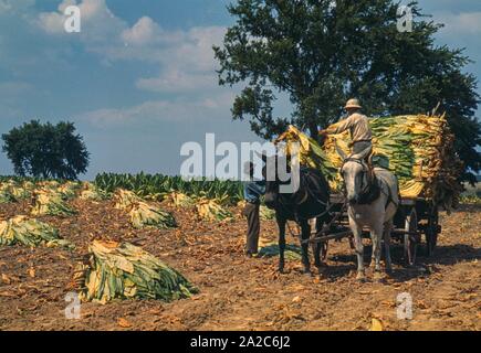 Farbszene während der Weltwirtschaftskrise in den Vereinigten Staaten, 1940. Kostenlose Bibliothek des Kongresses. () Stockfoto