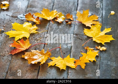 Rahmen der Herbst Ahorn Blätter in der Nähe auf einem hölzernen Hintergrund Stockfoto