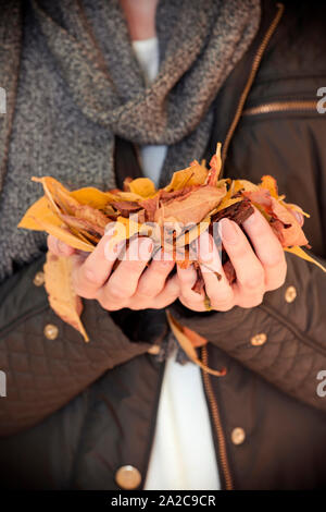 Junge Frau auf einem herbstlichen Spaziergang mit einem Haufen von getrockneten Blätter in der hand Stockfoto
