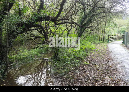 Rheidol, Rad, Fahrrad, cycleway, Trail, Pfad, Aberystwyth, Ceredigion, Wales, Welsh, Mitte, West Wales, Walisisch, GB, Großbritannien, Großbritannien, Stockfoto