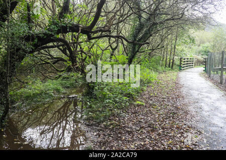 Rheidol, Rad, Fahrrad, cycleway, Trail, Pfad, Aberystwyth, Ceredigion, Wales, Welsh, Mitte, West Wales, Walisisch, GB, Großbritannien, Großbritannien, Stockfoto