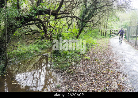 Rheidol, Rad, Fahrrad, cycleway, Trail, Pfad, Aberystwyth, Ceredigion, Wales, Welsh, Mitte, West Wales, Walisisch, GB, Großbritannien, Großbritannien, Stockfoto