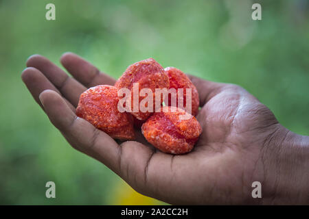 Tamilnadu spezielle rote Zuckerbonbons. Spezielle Süßigkeiten für Kinder in Südindien Stockfoto