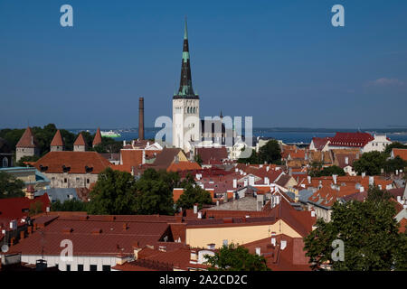 Panorama Ansicht des Hl. Olav Kirche und die umliegenden Dächer der Altstadt von Tallinn, Estland Stockfoto