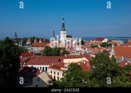 Panorama Ansicht des Hl. Olav Kirche und die umliegenden Dächer der Altstadt von Tallinn, Estland Stockfoto