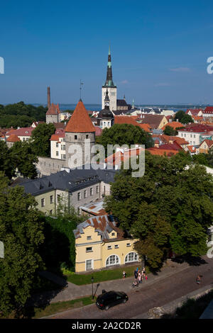 Panorama von St. Olaf Kirche und die umliegenden Dächer der Altstadt von Tallinn, Estland Stockfoto