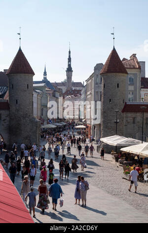 Ansicht der Touristen zu Fuß in der Nähe von Viru Tor, Rathaus turm im Hintergrund in Tallinn, Estland Stockfoto