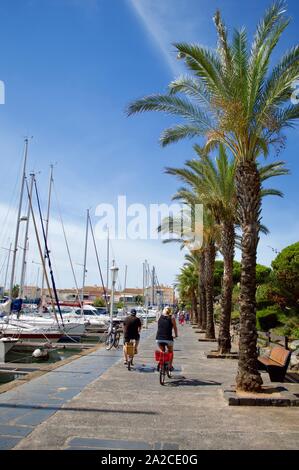 Palmen entlang eines Hafens in Cap d'Agde, Frankreich Stockfoto