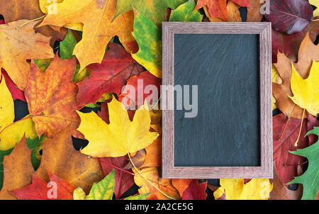 Herbst. Schwarzer Rahmen auf dem Hintergrund der hellen Blätter im Herbst. Stockfoto
