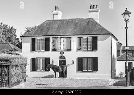 Wer durch das Fenster schaut - Pferd steht vor dem Greatham House in Brockenhurst, New Forest, Hampshire, Großbritannien an einem warmen sonnigen Tag im September Stockfoto