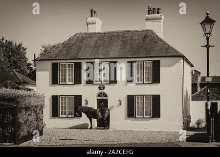 Wer durch das Fenster schaut - Pferd steht vor dem Greatham House in Brockenhurst, New Forest, Hampshire, Großbritannien an einem warmen sonnigen Tag im September Stockfoto