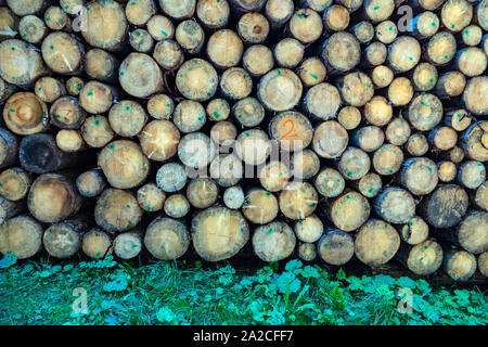 Stapel von gefällten Bäumen, Protokolle, die in der italienischen Dolomiten, Canazei, Italien Stockfoto