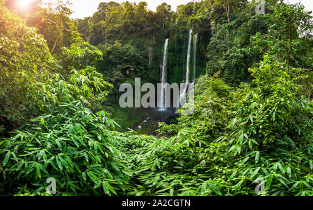 Riesige Wasser fallen iin dichten tropischen Regenwald auf der Insel Bali, Indonesien Stockfoto