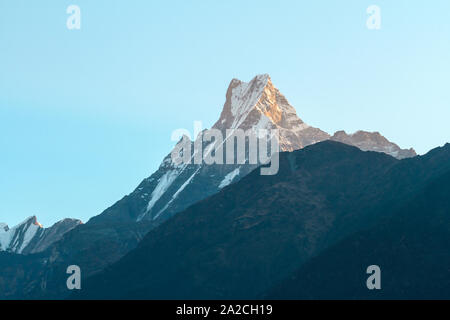Mount Matschaputschare (Fishtail) auf den Sonnenaufgang auf dem Weg nach Chomrong. Annapurna Conservation Area, Himalaya, Nepal. Stockfoto