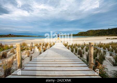 Junger Mann springt, Promenade zum Strand, Taharoa See, Northland, North Island, Neuseeland Stockfoto