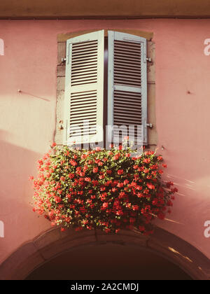 Eine alte französische Fenster mit Fensterläden und hübsche Fenster voller Geranien in einem Gebäude in Eguisheim Elsass Frankreich Stockfoto