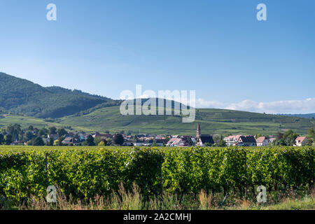 Ein Blick auf das Dorf von Wettolsheim in die Weinberge des Elsass in den Ausläufern der Vogesen, Frankreich Stockfoto