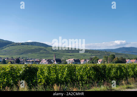 Ein Blick auf das Dorf von Wettolsheim in die Weinberge des Elsass in den Ausläufern der Vogesen, Frankreich Stockfoto