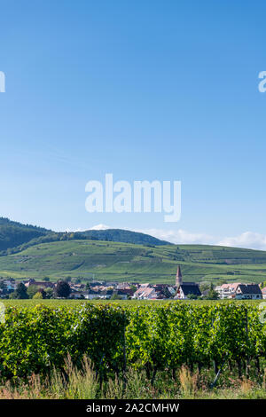 Ein Blick auf das Dorf von Wettolsheim in die Weinberge des Elsass in den Ausläufern der Vogesen, Frankreich Stockfoto