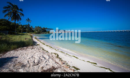 Panoramablick auf die Küste von Islamorada in Florida mit weißem Sand, Palmen und türkisfarbenem Meer an einem schönen sonnigen Tag Stockfoto