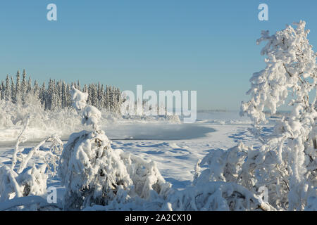 Mit Heiterfrost bedeckte Bäume entlang des Tanana River in Alaska Stockfoto