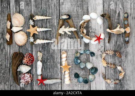 Die Entwicklung des abstrakten von Treibholz, Muscheln und Steine bilden das Wort Strand Glückseligkeit auf rustikalem Holz Hintergrund. Sommer Urlaub Thema. Stockfoto