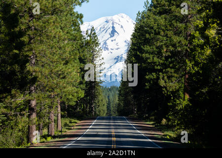 Leere Wald Autobahn Richtung schneebedeckten Mount Shasta Vulkan, Siskiyou County, Kalifornien, USA Stockfoto