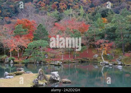 Kyoto, Japan - Tenryuji Gärten in Arashiyama. Blätter im Herbst. Stockfoto