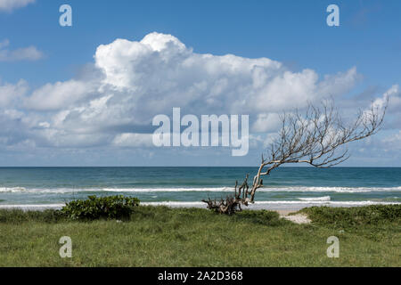 Sobral Strand in Maceió, Alagoas, Brasilien Stockfoto