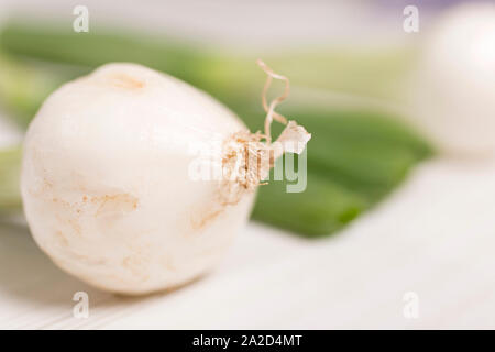 Große Frühlingszwiebel-Lampen auf einer hellen Holzoberfläche Stockfoto